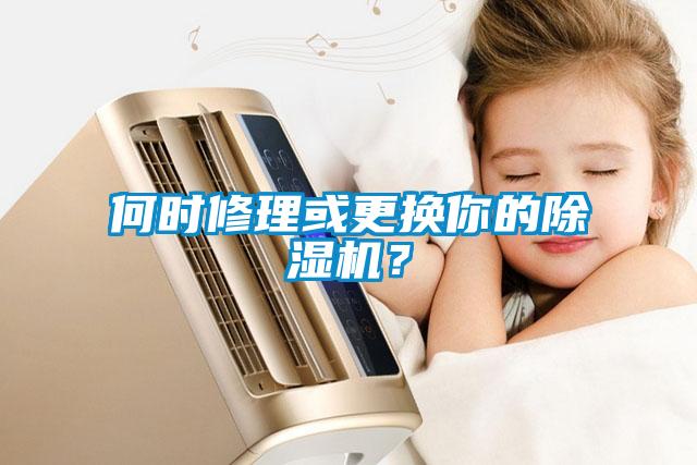 何時(shí)修理或更換你的除濕機(jī)？