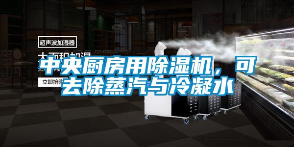 中央廚房用除濕機，可去除蒸汽與冷凝水