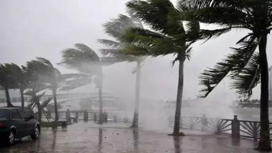 8月臺(tái)風(fēng)雨即將來(lái)，除濕機(jī)還得用起來(lái)