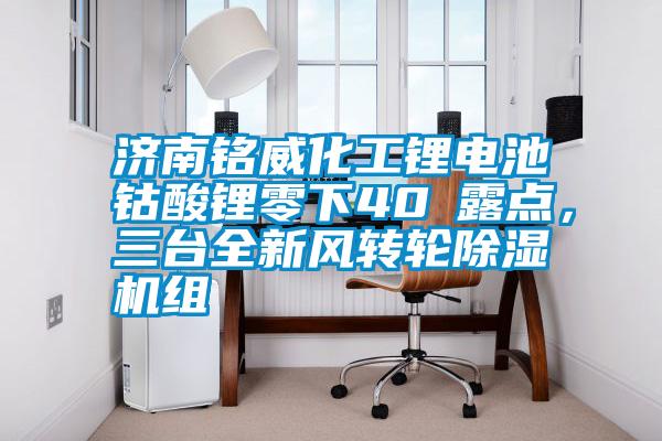 濟(jì)南銘威化工鋰電池鈷酸鋰零下40℃露點(diǎn)，三臺(tái)全新風(fēng)轉(zhuǎn)輪除濕機(jī)組