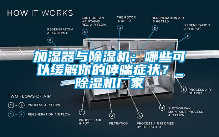 加濕器與除濕機：哪些可以緩解你的哮喘癥狀？_除濕機廠家