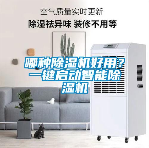 哪種除濕機好用？一鍵啟動智能除濕機