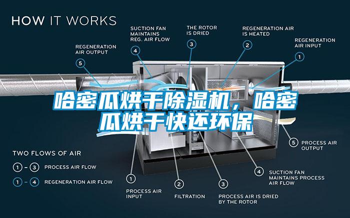 哈密瓜烘干除濕機，哈密瓜烘干快還環(huán)保