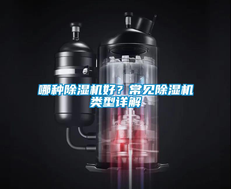 哪種除濕機好？常見除濕機類型詳解