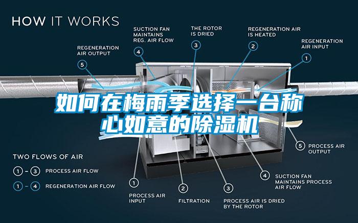 如何在梅雨季選擇一臺稱心如意的除濕機