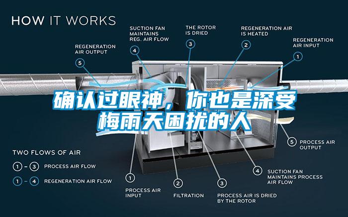 確認(rèn)過眼神，你也是深受梅雨天困擾的人