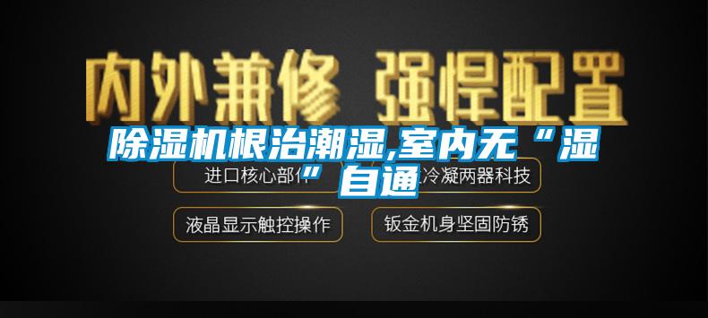 除濕機根治潮濕,室內(nèi)無“濕”自通