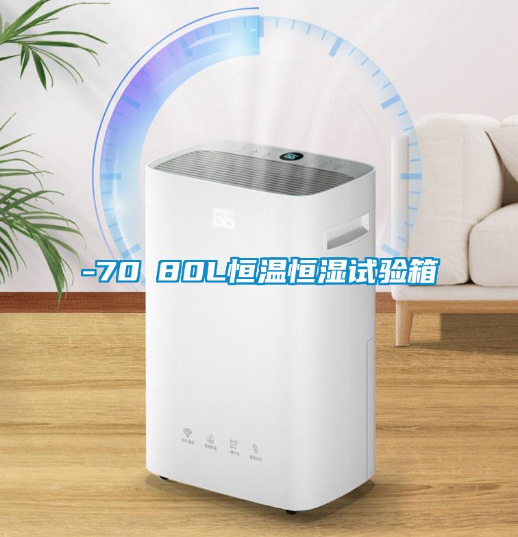 -70℃80L恒溫恒濕試驗(yàn)箱