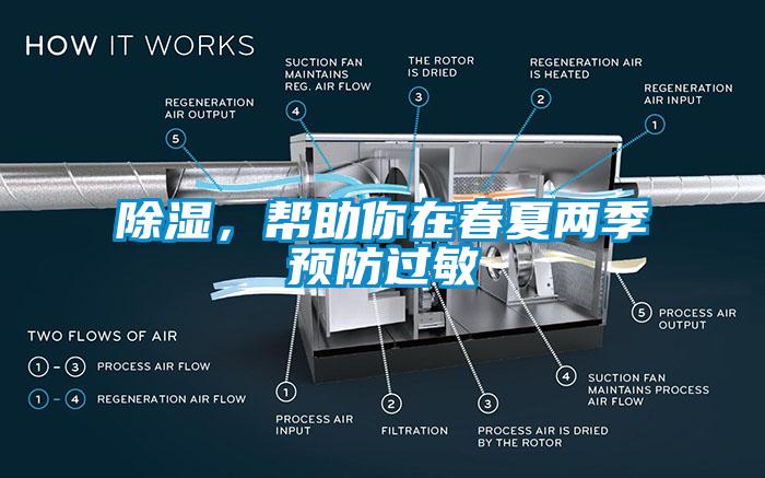 除濕，幫助你在春夏兩季預防過敏