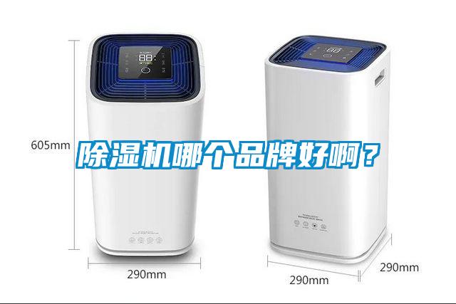 除濕機哪個品牌好?。?/></p>
<p style=