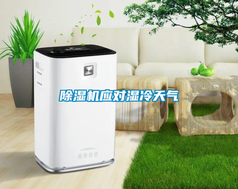 除濕機應對濕冷天氣