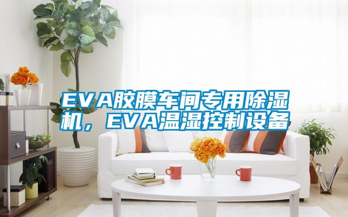 EVA膠膜車(chē)間專(zhuān)用除濕機(jī)，EVA溫濕控制設(shè)備