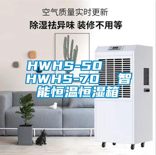 HWHS-50   HWHS-70  智能恒溫恒濕箱