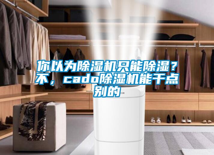 你以為除濕機只能除濕？不，cado除濕機能干點別的