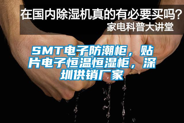 SMT電子防潮柜，貼片電子恒溫恒濕柜，深圳供銷廠家