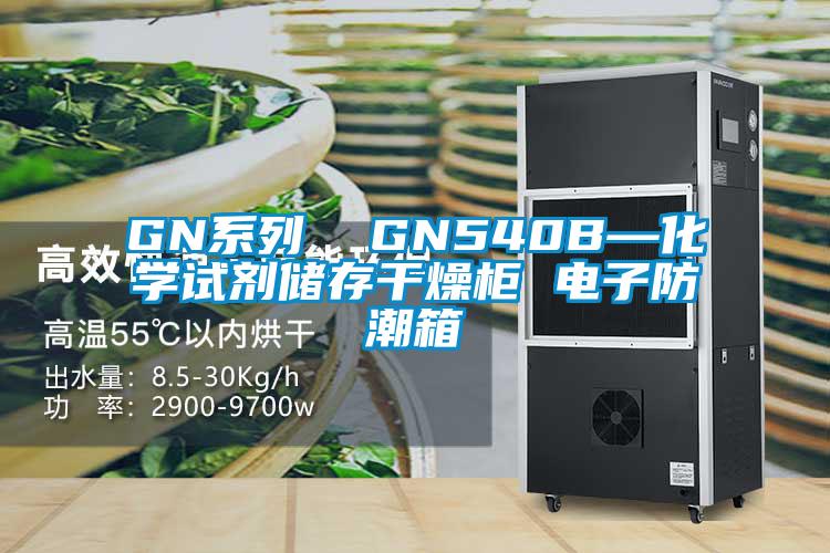 GN系列  GN540B—化學(xué)試劑儲存干燥柜 電子防潮箱