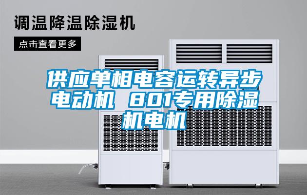 供應(yīng)單相電容運轉(zhuǎn)異步電動機 801專用除濕機電機