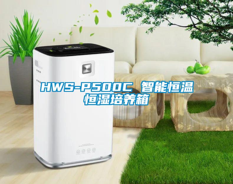 HWS-P500C 智能恒溫恒濕培養(yǎng)箱