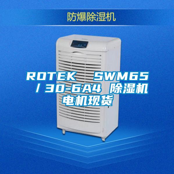 ROTEK  SWM65／30-6A4 除濕機電機現(xiàn)貨