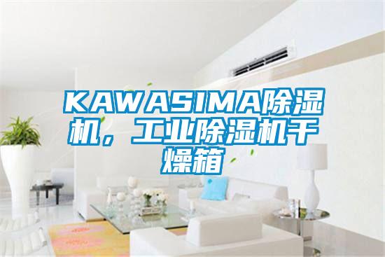 KAWASIMA除濕機，工業(yè)除濕機干燥箱