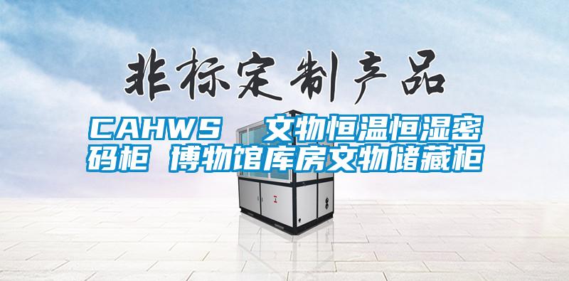 CAHWS  文物恒溫恒濕密碼柜 博物館庫房文物儲藏柜