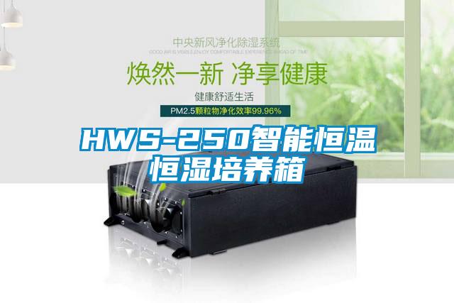 HWS-250智能恒溫恒濕培養(yǎng)箱