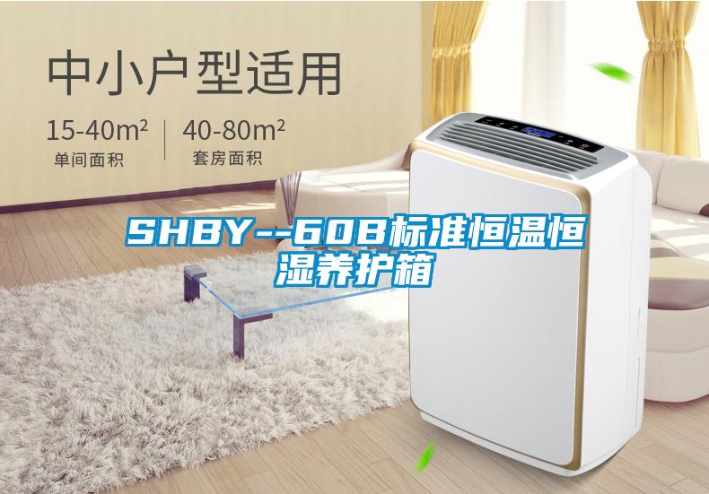 SHBY--60B標準恒溫恒濕養(yǎng)護箱