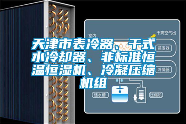 天津市表冷器、干式水冷卻器、非標(biāo)準恒溫恒濕機、冷凝壓縮機組