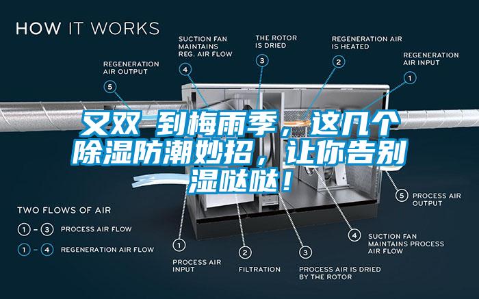 又雙叒到梅雨季，這幾個除濕防潮妙招，讓你告別濕噠噠！