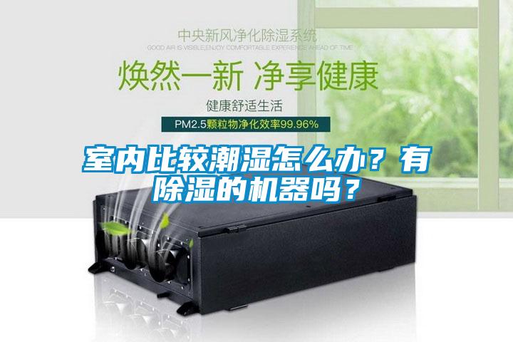 室內(nèi)比較潮濕怎么辦？有除濕的機器嗎？