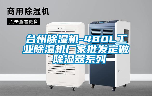 臺州除濕機-480L工業(yè)除濕機廠家批發(fā)定做 除濕器系列