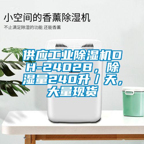 供應(yīng)工業(yè)除濕機DH-2402B，除濕量240升／天，大量現(xiàn)貨