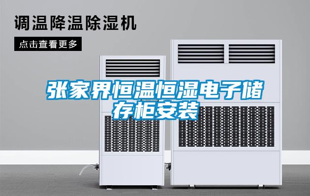 張家界恒溫恒濕電子儲存柜安裝