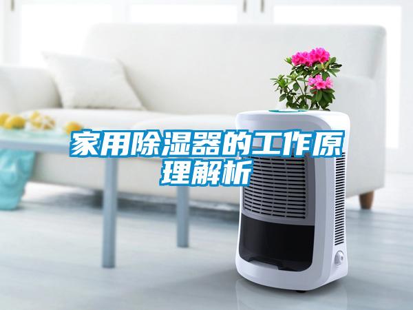 家用除濕器的工作原理解析