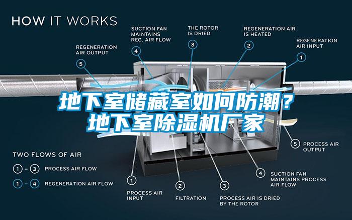 地下室儲(chǔ)藏室如何防潮？地下室除濕機(jī)廠家