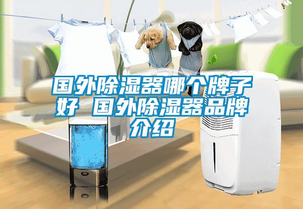 國(guó)外除濕器哪個(gè)牌子好 國(guó)外除濕器品牌介紹