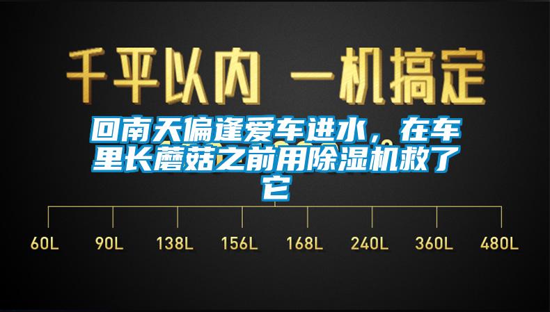 回南天偏逢愛車進(jìn)水，在車?yán)镩L蘑菇之前用除濕機(jī)救了它