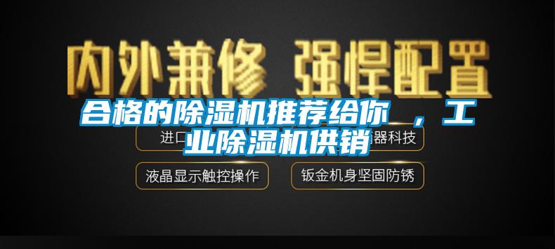 合格的除濕機推薦給你 ，工業(yè)除濕機供銷