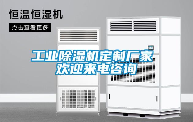 工業(yè)除濕機(jī)定制廠家 歡迎來電咨詢