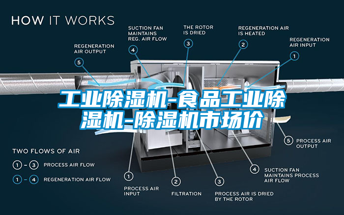 工業(yè)除濕機(jī)-食品工業(yè)除濕機(jī)-除濕機(jī)市場價