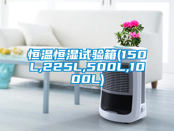 恒溫恒濕試驗(yàn)箱(150L,225L,500L,1000L)