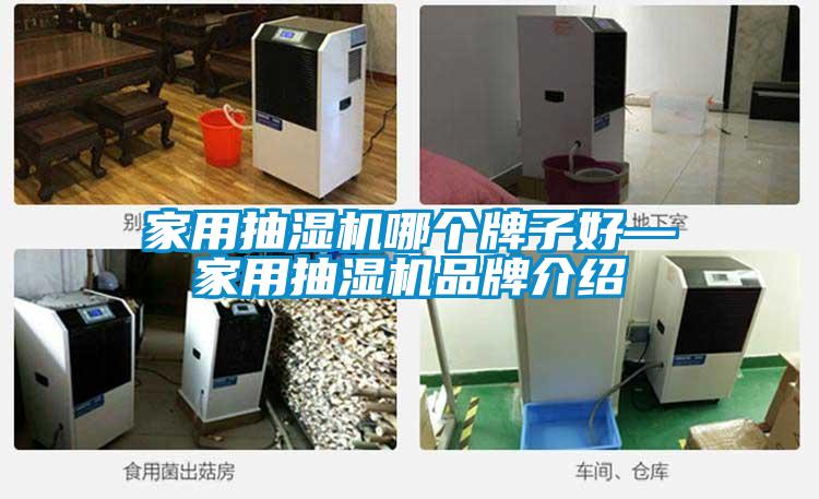 家用抽濕機哪個牌子好—家用抽濕機品牌介紹