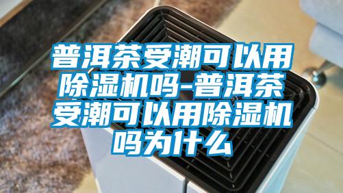 普洱茶受潮可以用除濕機嗎-普洱茶受潮可以用除濕機嗎為什么