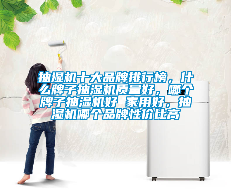 抽濕機十大品牌排行榜，什么牌子抽濕機質量好，哪個牌子抽濕機好 家用好，抽濕機哪個品牌性價比高