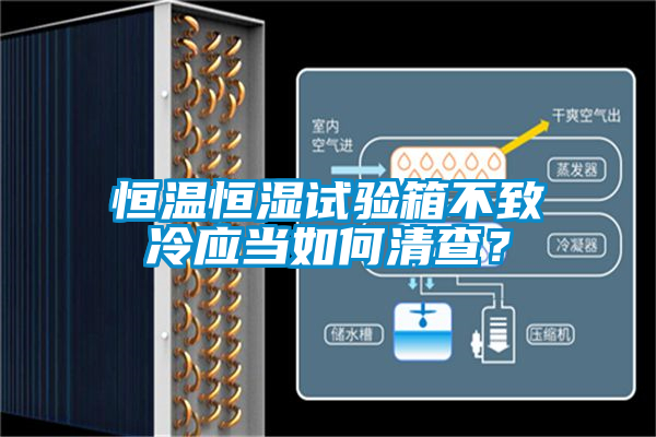 恒溫恒濕試驗(yàn)箱不致冷應(yīng)當(dāng)如何清查？