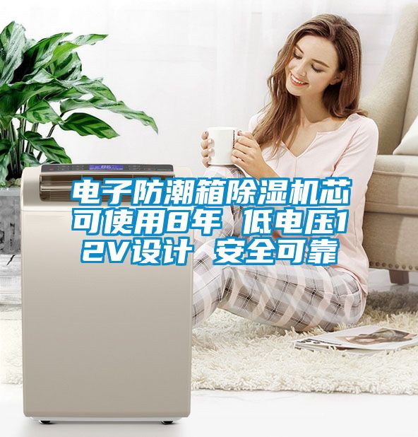 電子防潮箱除濕機(jī)芯可使用8年 低電壓12V設(shè)計(jì) 安全可靠