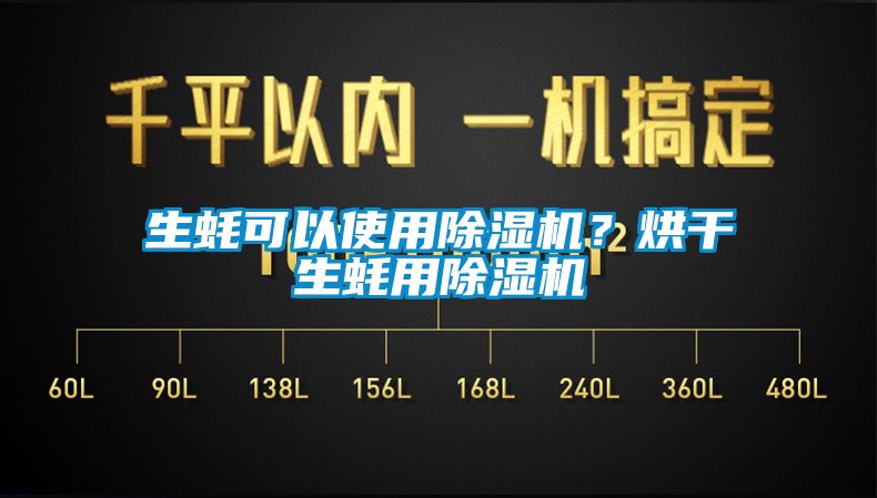 生蠔可以使用除濕機？烘干生蠔用除濕機