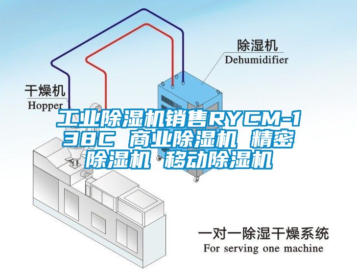 工業(yè)除濕機(jī)銷售RYCM-138C 商業(yè)除濕機(jī) 精密除濕機(jī) 移動(dòng)除濕機(jī)