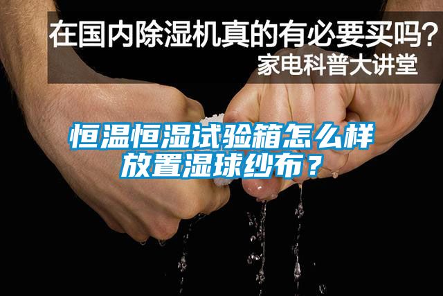 恒溫恒濕試驗箱怎么樣放置濕球紗布？