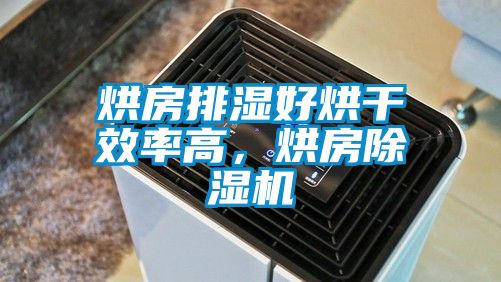 烘房排濕好烘干效率高，烘房除濕機